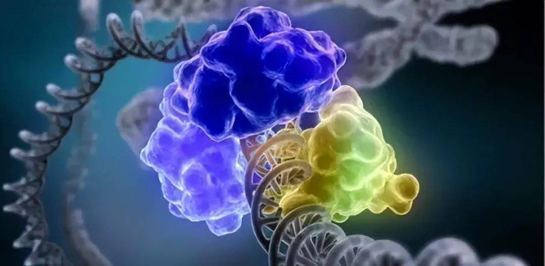令科学家惊艳的发现：癌症预防或有捷径？